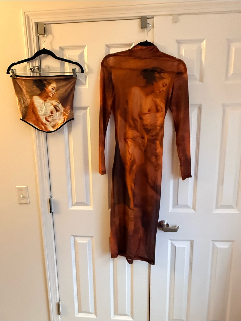 Sheer Brown Printed Long Sleeve Dress - Brown